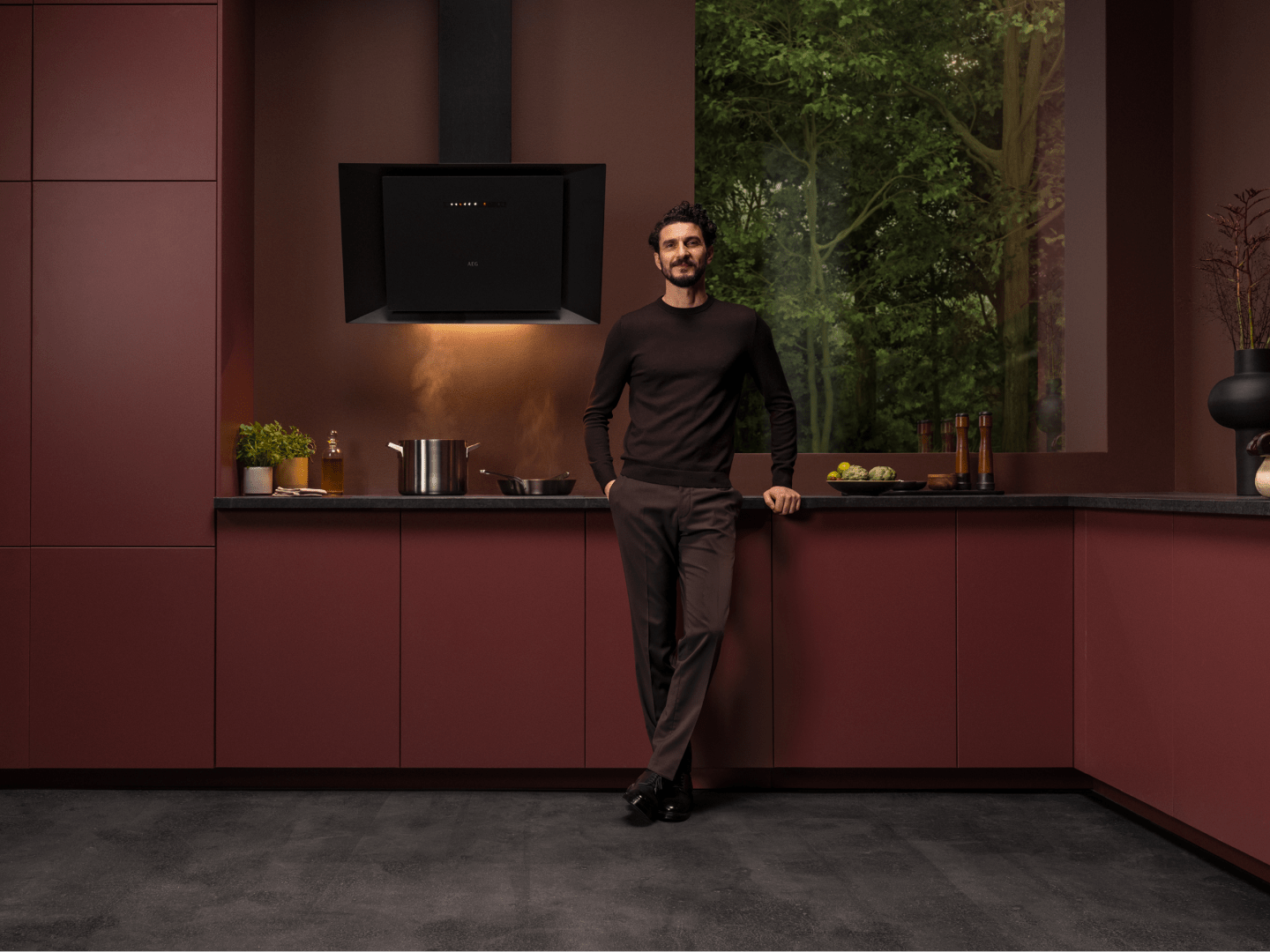 AEG Extractor hood Repair London AEG Extractor hood Repair London