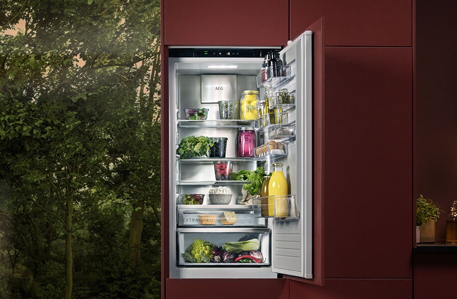 AEG Fridge Repairs AEG Fridge Repairs